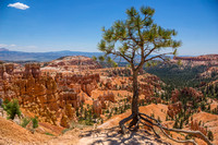 Bryce Canyon National Park - 2016